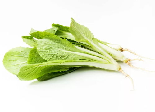 应季养生｜冬季餐桌必备 这几种时令蔬菜不仅营养丰富，还能增强抵抗力