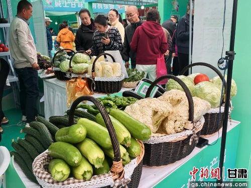 暮秋兰州甘味浓，张掖有机农产品展销会圈粉金城苗木