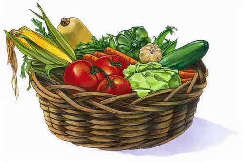 节前走访菜市场 货源充足价格稳，新春苗木添绿意